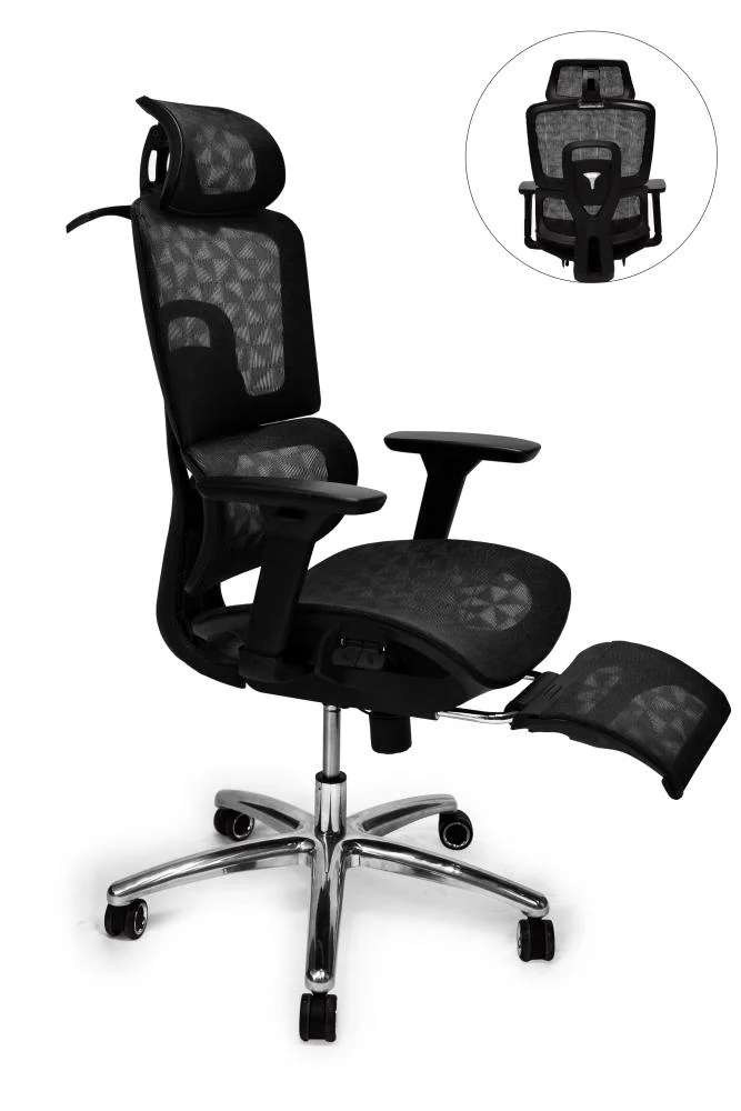 f1b2537c-1391-43c6-b47c-081095983109-667